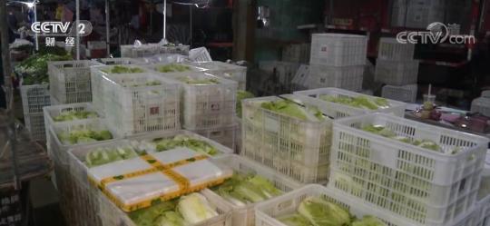 菜篮子 保供稳价 上海 各地蔬菜大批进沪 市场批发价略有回落